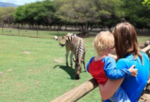 family at zoo