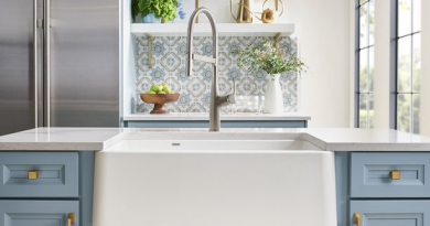 Jenis Kitchen Sink Blanco Jogja | Blog QHOMEMART