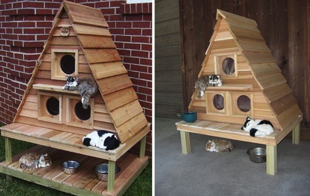 rumah kucing 10