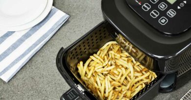 penggunaan air fryer : goreng tanpa minyak