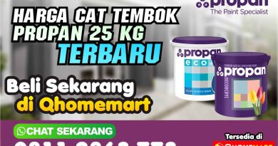 Harga Cat Tembok Propan 25 kg